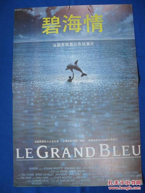 北海道大学Economics Degree Certificate